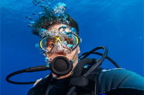 8 Days Dive Package