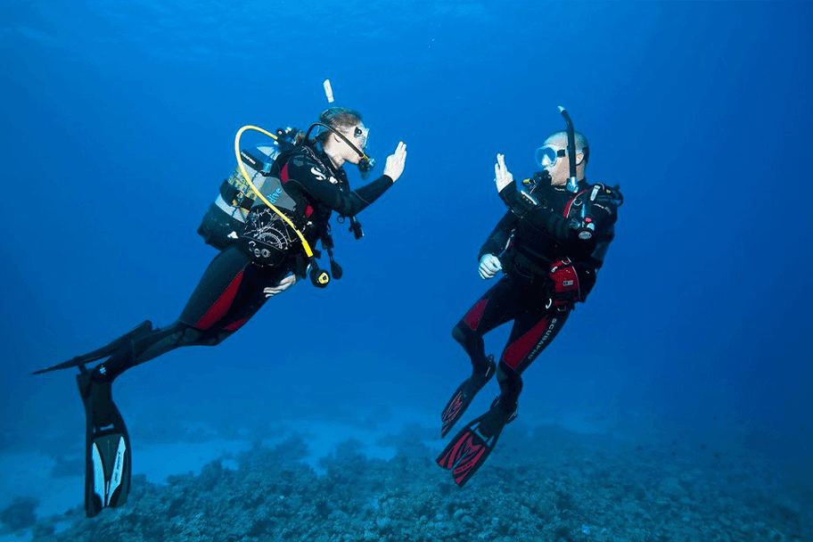 Third Dive (From Boat)