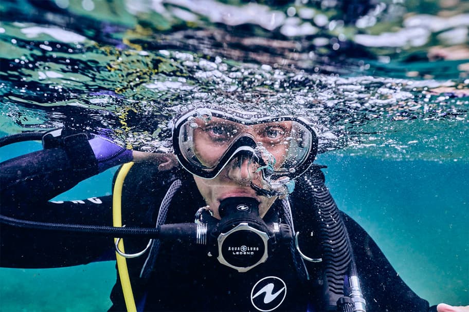 Check Dive (Professional)